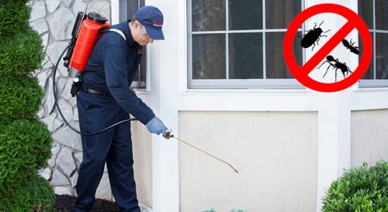 Kepsut Gümüşkurt İlaçlama böcek ilaçlama ve haşere kontrolü — ilaclama-tr.com